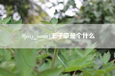 滦南王子豪是个什么