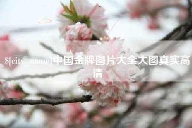 滦南中国金牌图片大全大图真实高清