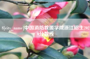 滦南中国消防救援学院浙江招生2020分数线