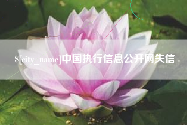 滦南中国执行信息公开网失信