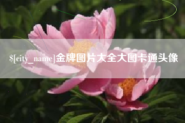 滦南金牌图片大全大图卡通头像
