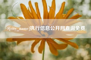 滦南执行信息公开网查询免费
