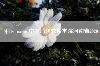 滦南中国消防救援学院河南省2020